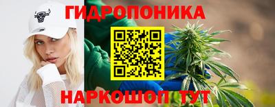 прущие грибы Железногорск