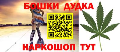 индика Бийск