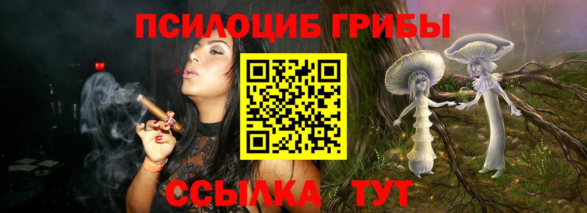 Псилоцибиновые грибы Psilocybine cubensis  Псилоцибиновые грибы GOLDEN TEACHER  Каменск-Уральский  Вход с VPN 