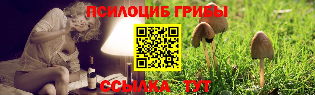 Псилоцибиновые грибы MAGIC MUSHROOMS Каменск-Уральский